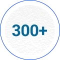 300+ senior engineer teams