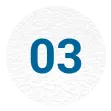 Automobile Manufacturing